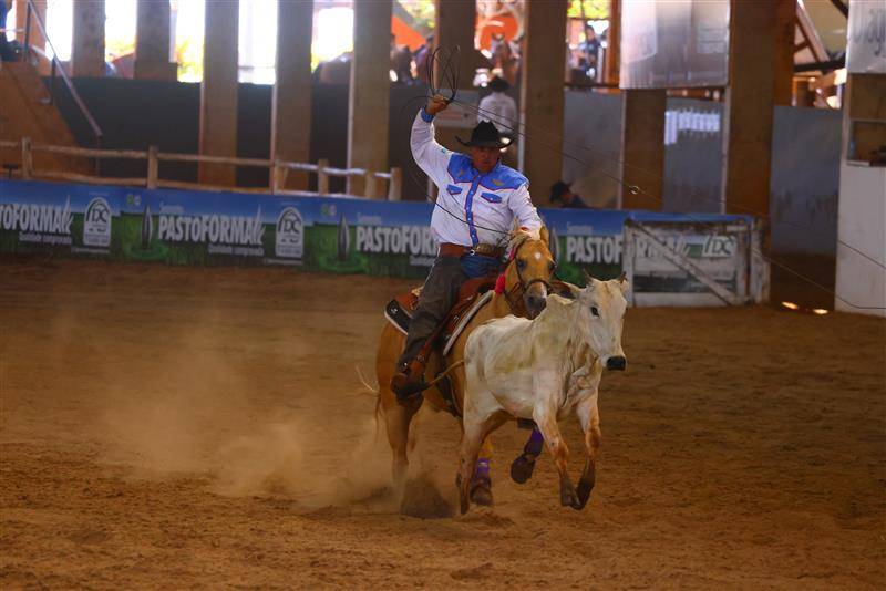 ABQM conduz revisão do regulamento do Laço Comprido Técnico em conjunto com representantes da modalidade