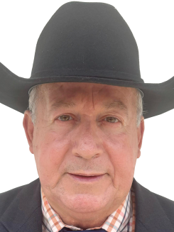 Hélvio Braz Mattos de Noronha