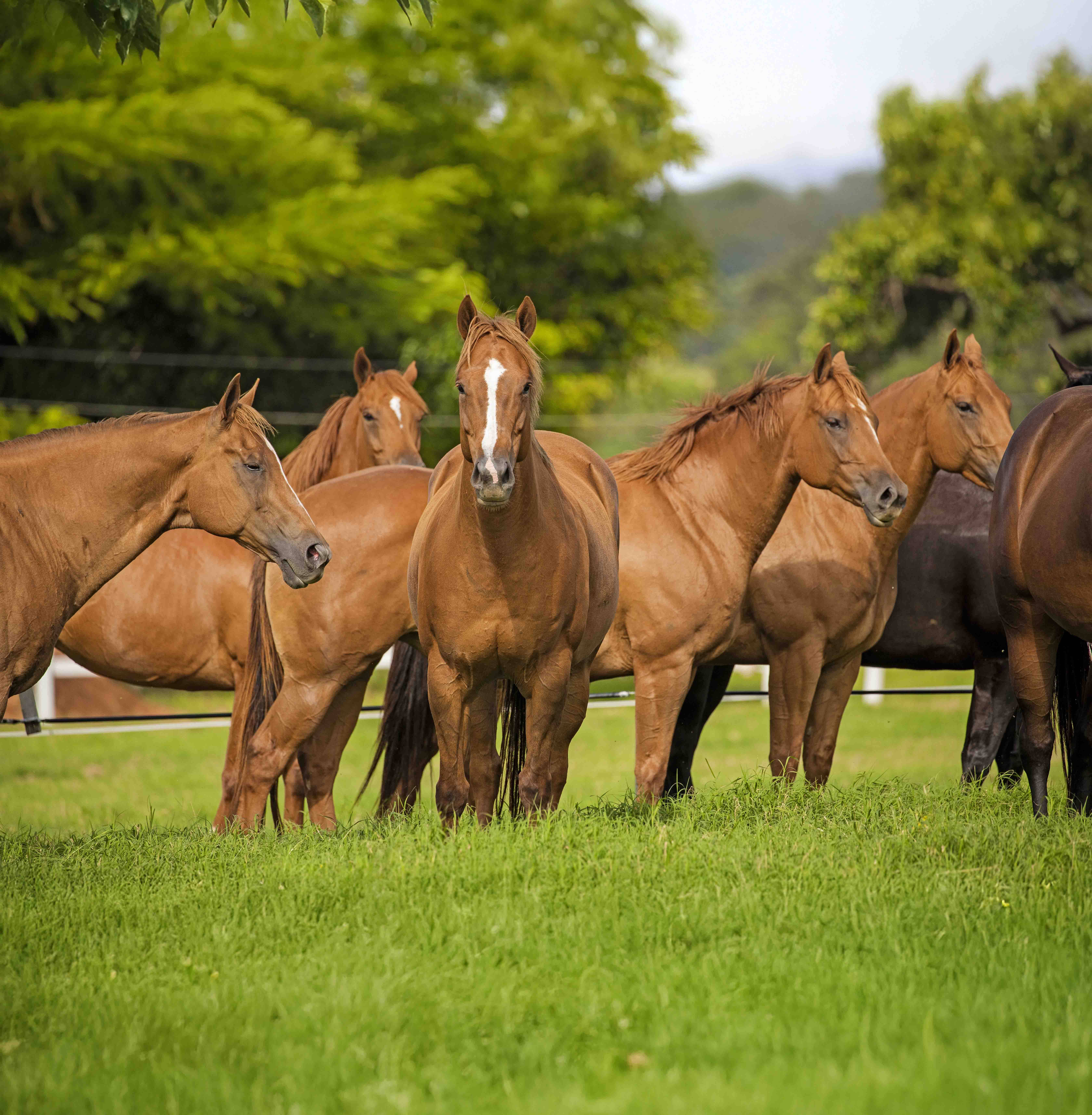 ABQM informa prazos e condições para pagamento das Taxas Associativa e de Fomento 2026