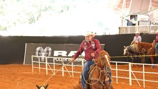 Celso Guelfi 027A8435bx