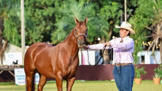 bx Foto 02 Resortador SWR_GV__9289 - 1.jpg