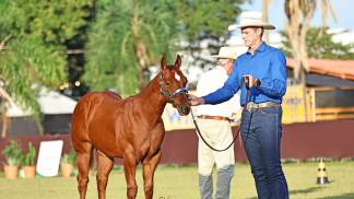 Foto 02) Júpiter Sacred_com Leopoldo Pozzi_GV__9330