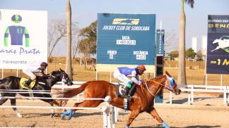 foto-01_gp-abqm-pf_8-pareo-0a6a3669-jpg