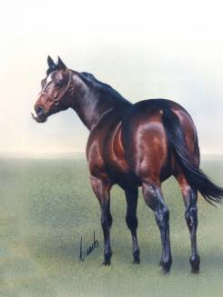 ALAMITOS LAD - P002168