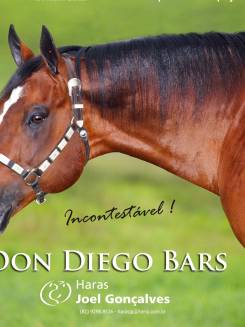 DON DIEGO BARS - P013700