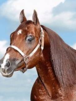 KEYS TO THE MOON - P026104