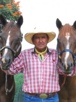 MARCO ANTÔNIO TOLEDO DE SOUZA