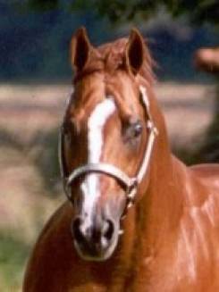 SIGNED TO FLY - P034069