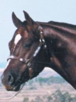 FEATURE FERRARI - P012778