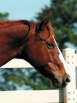 CROMITA MA 10 - M034351