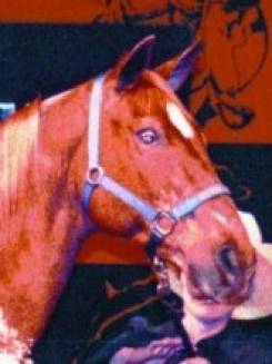 BIANCA EB 33 - M016050