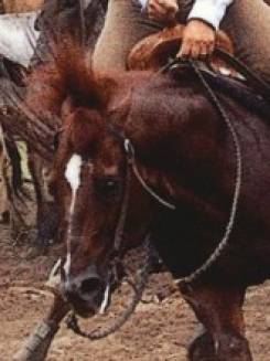 BRIGANLENA - P016571