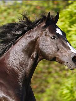 RETURN POINT - P038909