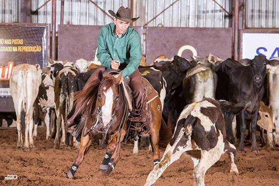 Anca amador camp paulista